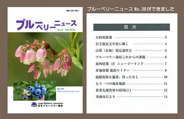 ブルーベリーニュース No.38